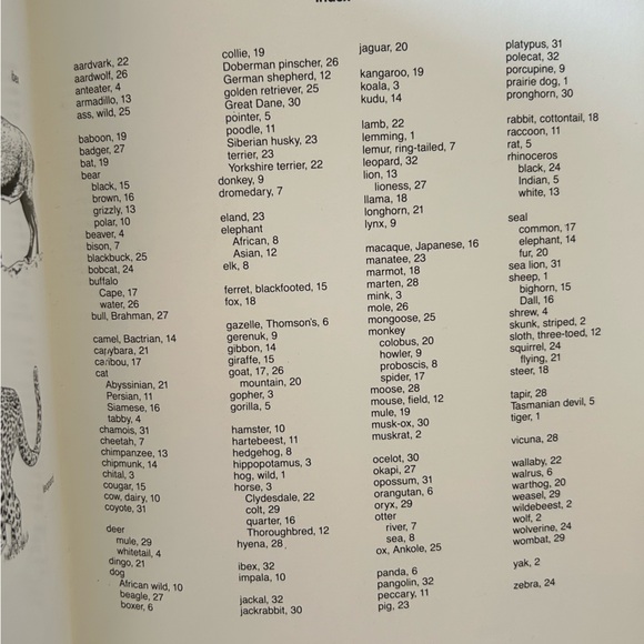 Bundle of Clip Art Books (4) - Picture 14 of 15